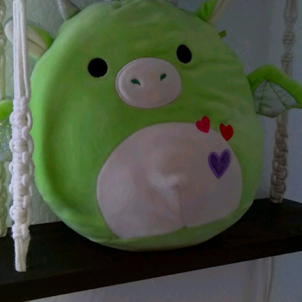 A green dragon (rare)🐉squashmallow